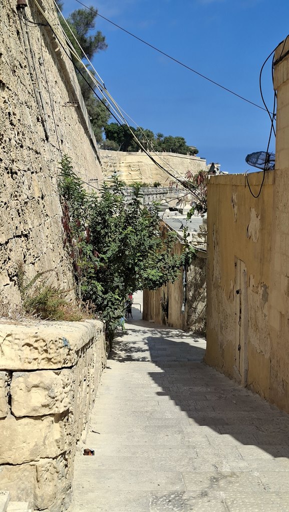 20250915 144711 (Copy)